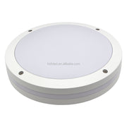 Modern (Ceiling or Wall) Surface Mounted LED Light